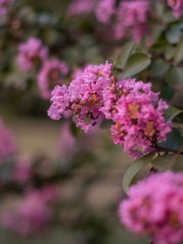rsp0197-2.jpg_compressed