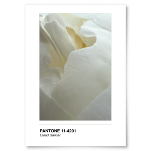 Poster Cloud Dancer | Colecția Pantone