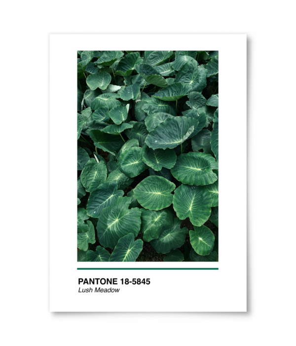 Pantone Lush Meadow William Turner