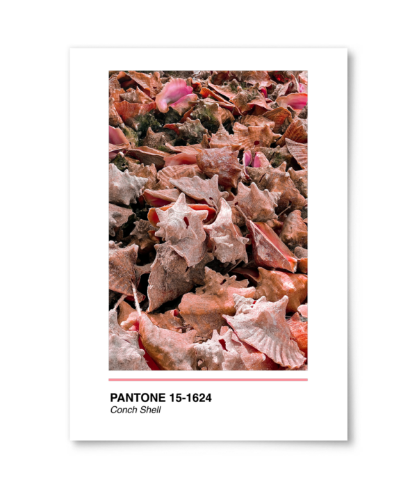 Mockup 9775baa3f289a2c57c8c306f9f7650b3