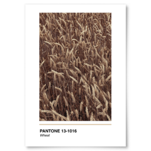 Mockup Ddf7b4f2fc9482b4b5719655025ea4b6