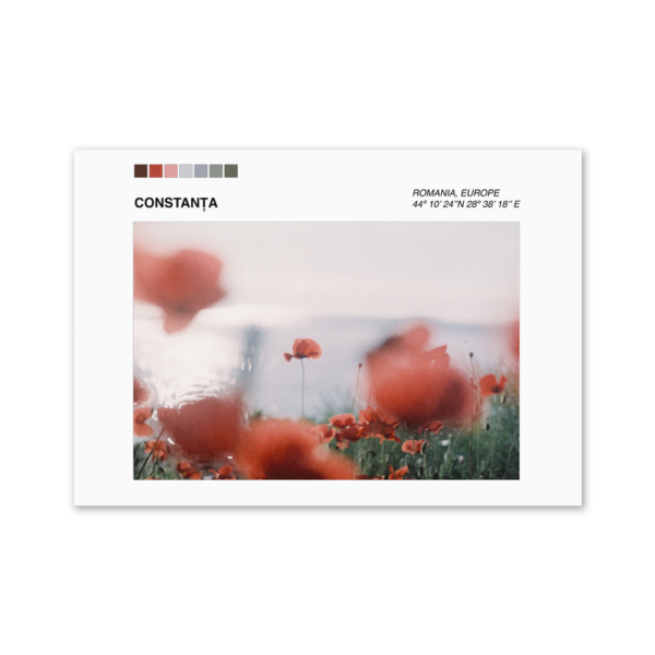 Poster Palette Constanta