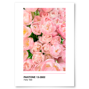 Poster Pantone Fairy Tale